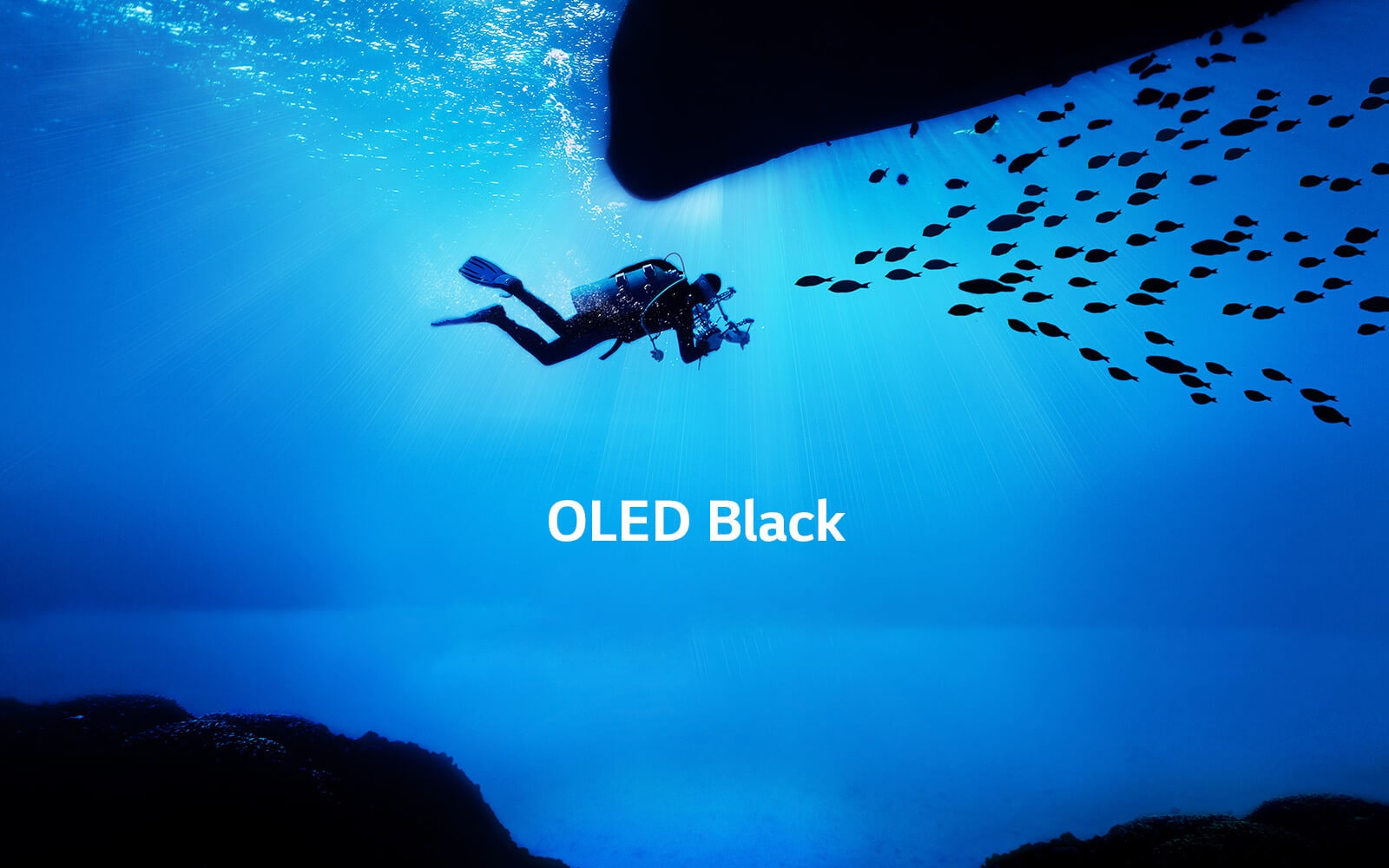 Ідеальний чорний<br>Вдихає життя в зображення1