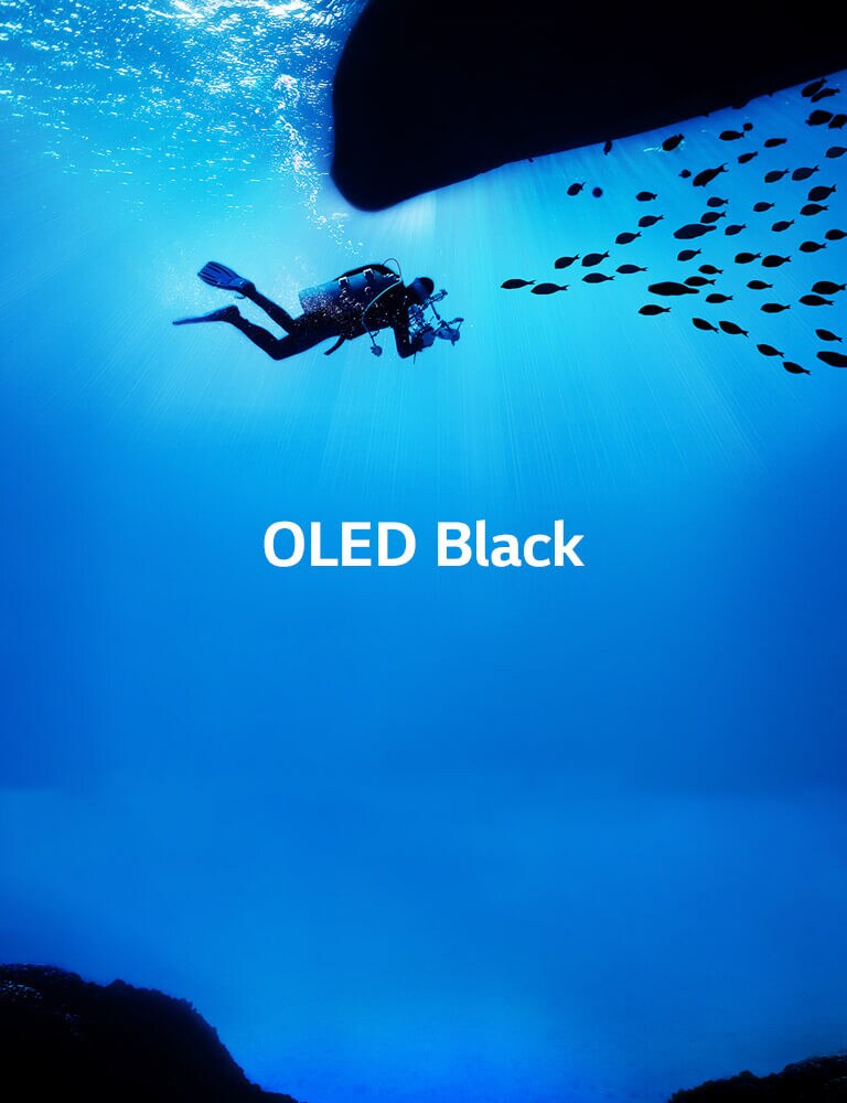 Ідеальний чорний<br>Вдихає життя в зображення2