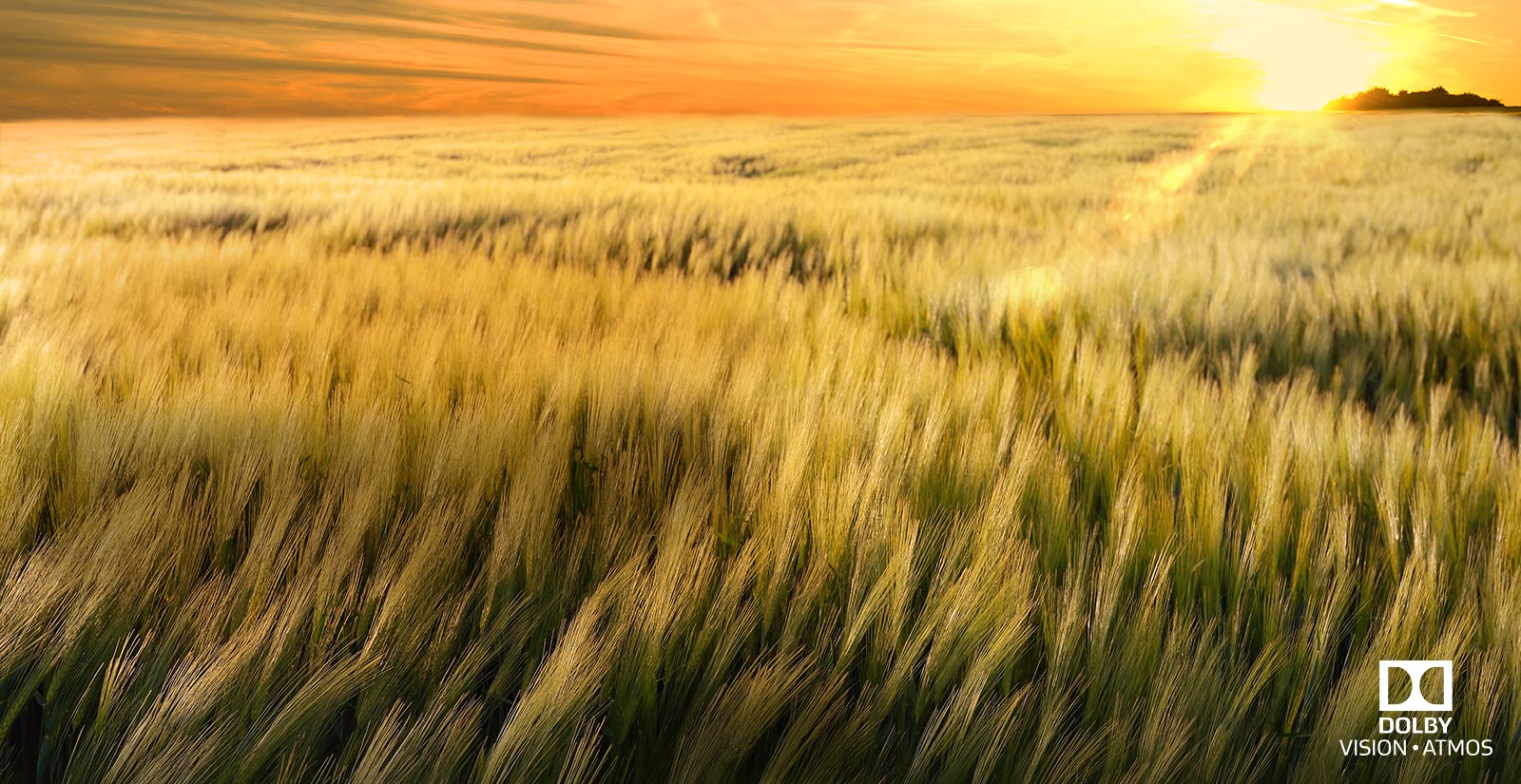 Dolby Vision і Atmos: кінотеатр удома1