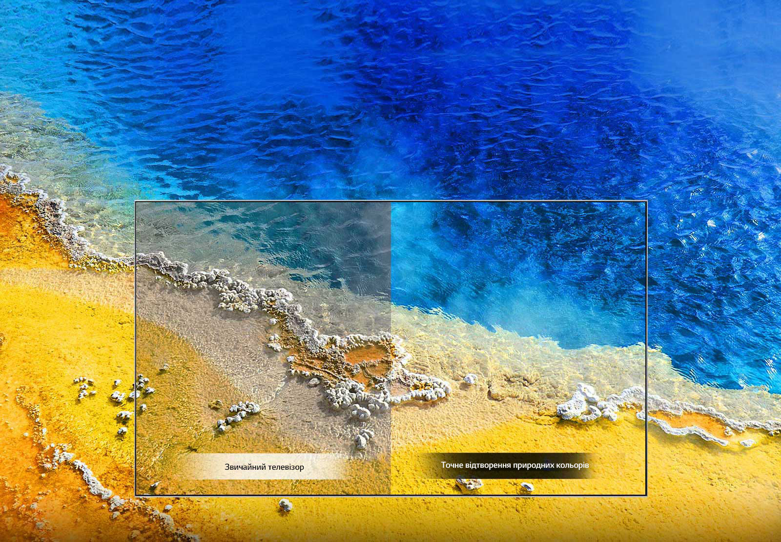 Точне відтворення природних кольорів1