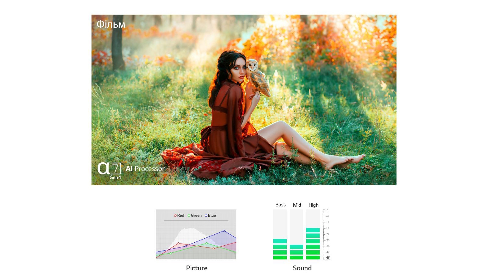 Сцена з дамою, яка тримає сову й перебуває в лісі, текст про фільм відтворено у верхньому лівому куті, а логотип процесора a7 Gen4 AI показано внизу ліворуч. Сцена із замком і місяцем на задньому плані, анімаційний текст відтворено у верхньому лівому куті, а логотип процесора a7 Gen4 AI показано внизу ліворуч. (Відтворення відео.)