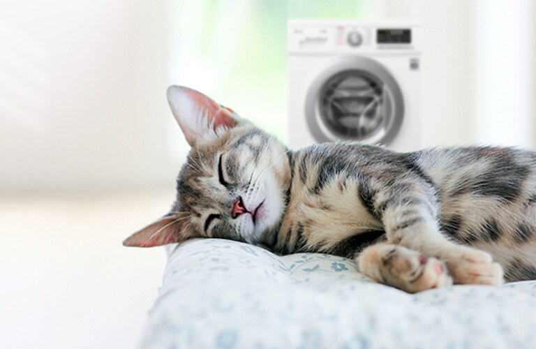 Безшумна робота. Періть навіть уночі