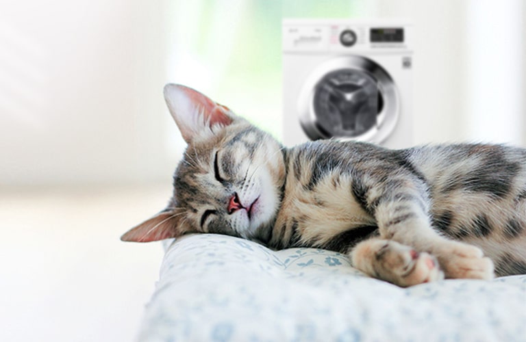 Безшумна робота. Періть навіть уночі