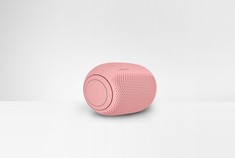 On a white background, a left end view of LG XBOOM Go PL2 is shown.