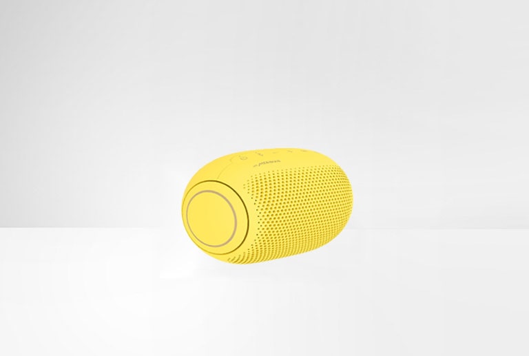 On a white background, a left end view of LG XBOOM Go PL2 is shown.