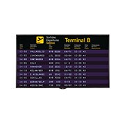 LG 49'' IPS панель з яскравістю 700&nbsp;кд/м² та роздільною здатністю FHD (1920x1080), 49LS75C-M, thumbnail 1