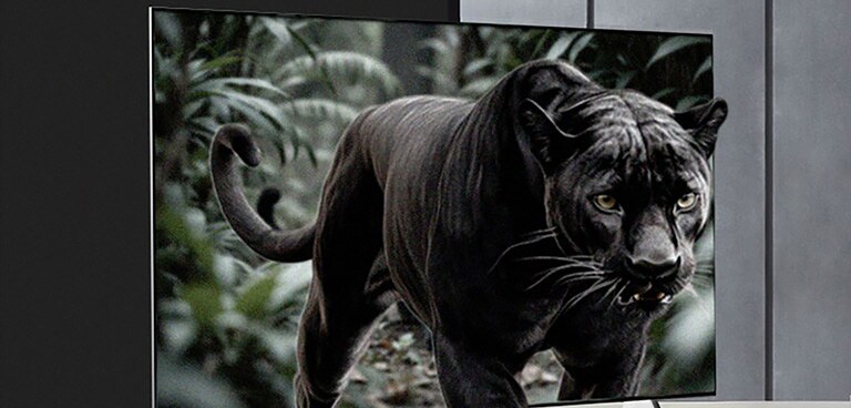 Пантера в джунглях ніби виходить з екрана LG TV на підставці. Лінії з’являються так, ніби штучний інтелект аналізує пантеру, а потім фон. Загальне зображення покращується, демонструючи, як AI Perceived Object Enhancer надає 3D-глибину кожній сцені. 
