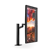 LG 31.5'' UHD 4K Ergo IPS Монітор LG UltraFine з USB-C, perspective view with the display pivoting 90 degrees, 32UN880K-B, thumbnail 10