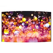 LG 55'' OLED гнучкий дисплей, 55EF5E-L, thumbnail 1