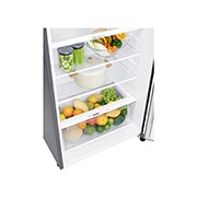 LG 393 л | Холодильник з верхньою морозильною камерою | з технологією DoorCooling | LinearCooling | Smart Diagnosis, GN-C422SMCZ, thumbnail 5