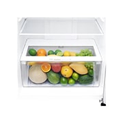 LG 393 л | Холодильник з верхньою морозильною камерою | з технологією DoorCooling | LinearCooling | Smart Diagnosis, GN-C422SMCZ, thumbnail 6