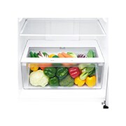 LG 393 л | Холодильник з верхньою морозильною камерою | з технологією DoorCooling | LinearCooling | Smart Diagnosis, GN-C422SMCZ, thumbnail 5