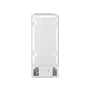 LG 393 л | Холодильник з верхньою морозильною камерою | з технологією DoorCooling | LinearCooling | Smart Diagnosis, GN-C422SMCZ, thumbnail 15