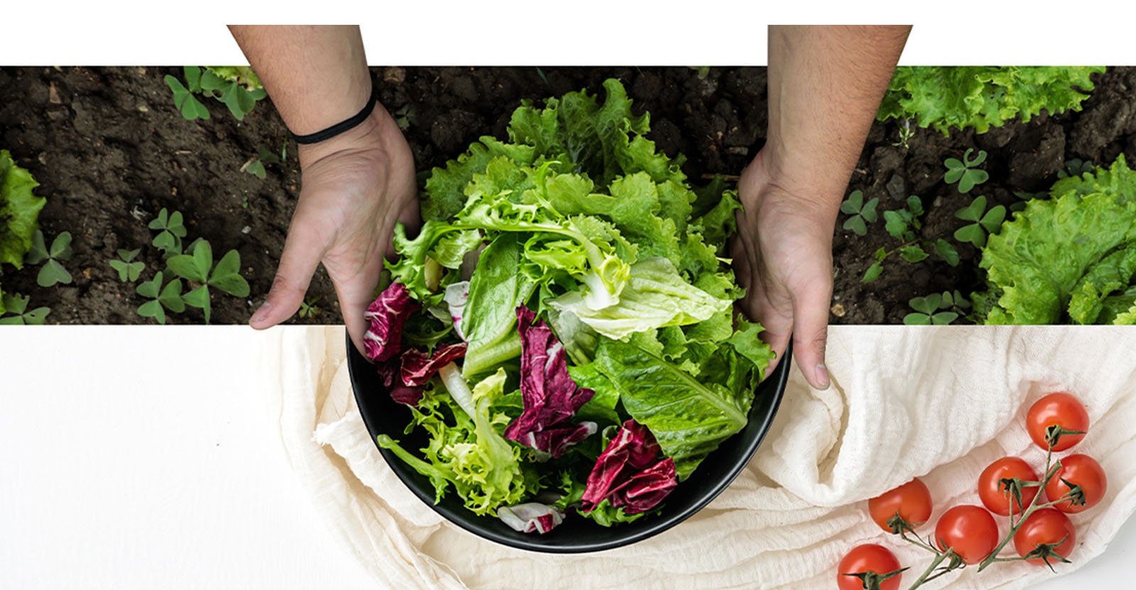 Руки тримають на столі миску, наповнену свіжими овочами, ніби щойно зібраними з грядки.