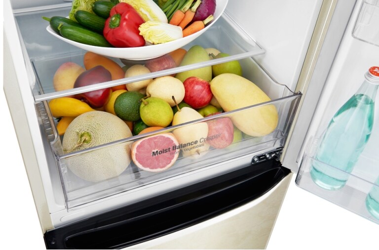 LG з нижньою морозильною камерою та технологією NatureFRESH, GA-B389SEQZ, thumbnail 6