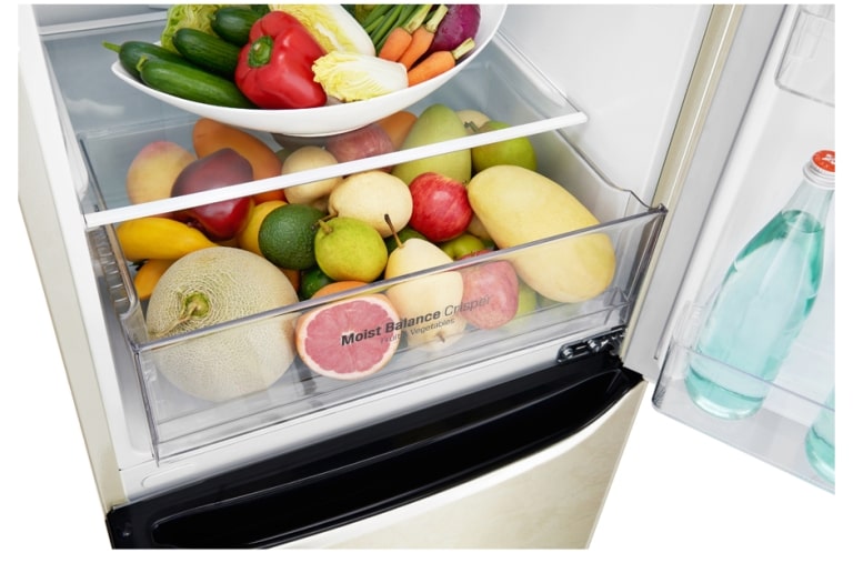 LG з нижньою морозильною камерою та технологією NatureFRESH, GA-B389SECZ, thumbnail 7