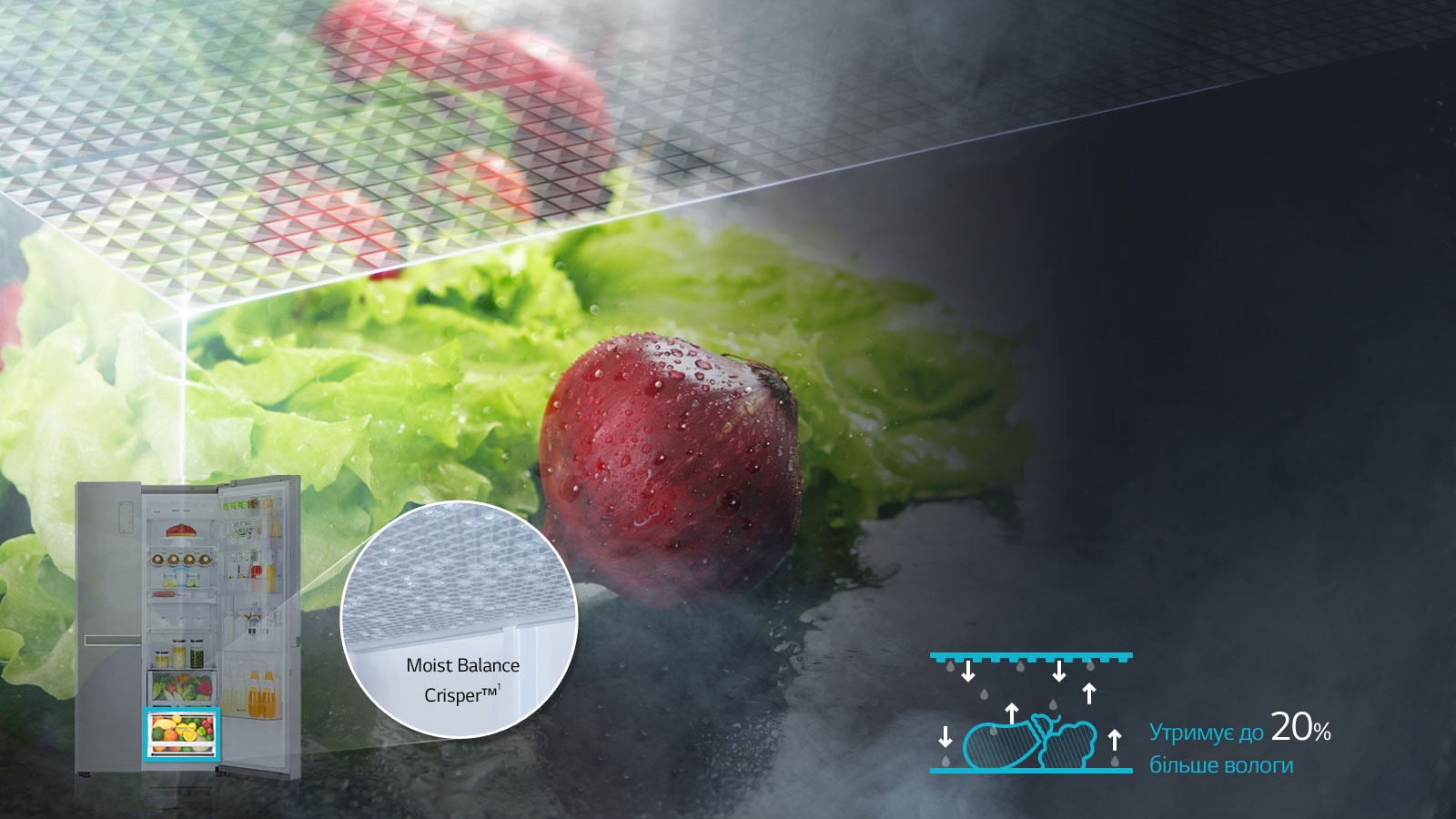 Moist Balance Crisper