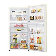 LG 592 л| Холодильник з верхньою морозильною камерою | з технологією DoorCooling | LinearCooling | ThinQ, GR-H802HEHZ, thumbnail 4