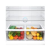 LG 592 л| Холодильник з верхньою морозильною камерою | з технологією DoorCooling | LinearCooling | ThinQ, GR-H802HEHZ, thumbnail 5