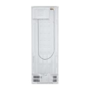 LG 306 л | Холодильник з нижньою морозильною камерою | DoorCooling+ | Інверторний компресор | Smart Diagnosis	, GC-B399SQCM, thumbnail 15