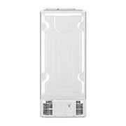 LG 393 л | Холодильник з верхньою морозильною камерою | з технологією DoorCooling | LinearCooling | Smart Diagnosis	, GN-B422SMCL, thumbnail 15