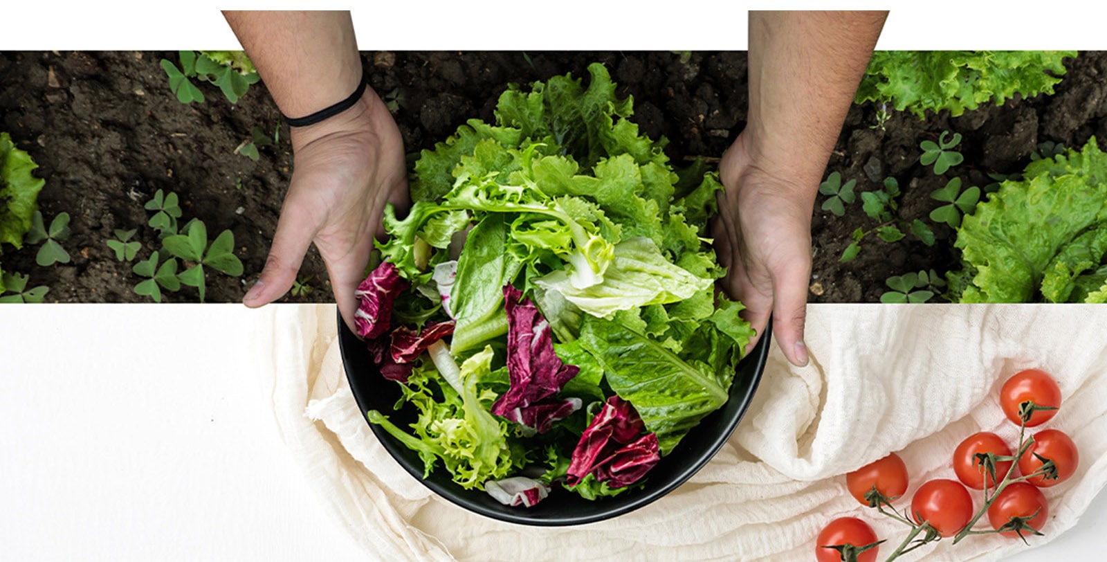 Руки тримають на столі миску, наповнену свіжими овочами, ніби щойно зібраними з грядки.