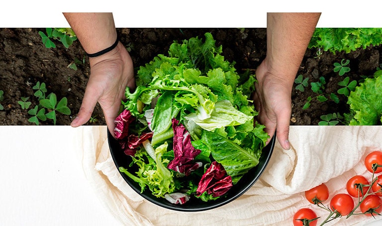 Руки тримають на столі миску, наповнену свіжими овочами, ніби щойно зібраними з грядки.