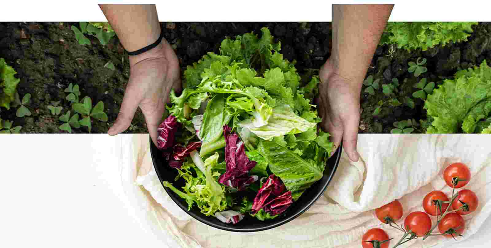 Руки тримають на столі миску, наповнену свіжими овочами, ніби щойно зібраними з грядки.