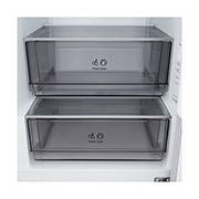 LG 333 л | Холодильник з нижньою морозильною камерою | DoorCooling+ | Інверторний компресор | Total No Frost, Вид спереду, двері холодильника відкриті (з їжею), двері морозильника закриті, GC-B459EMYM, thumbnail 6
