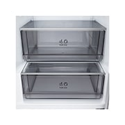 LG 375 л | Холодильник з нижньою морозильною камерою | DoorCooling+ | Multi AirFlow | LG ThinQ, Вид спереду, двері холодильника відкриті (з їжею), GC-B509EELM, thumbnail 7