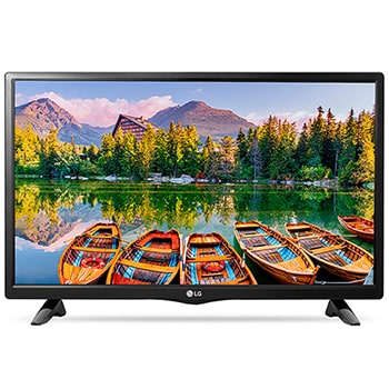 Телевізор LG 24LH451U1