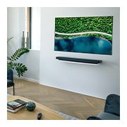 LG Телевізор LG OLED OLED65WX з самопідсвічуваними пікселями та штучним інтелектом ThinQ, Вітальня з диваном і телевізором, що показує пташиного польоту природи, OLED65WX9LA, thumbnail 12