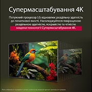 LG Телевізор LG UHD AI UA75 | 50 дюймів | 4K Smart TV | 2025, Порівняння до та після того, як LG 4K Super Upscaling покращує якість зображення. Дві панелі з однаковим зображенням різнокольорової пташки, що сидить на гілці в лісі, панель праворуч зникла. Назва ро, 50UA75006LA, thumbnail 6