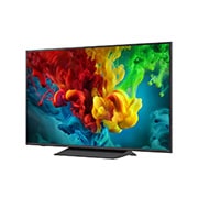 LG Телевізор LG QNED evo AI Mini LED | 55 дюймів | 4K Smart TV | 2026, LG QNED evo AI QNED82 Mini LED з технологією AI Picture Pro та Dynamic Tone Mapping Pro показує сцену зйомки на свіжому повітрі з низьким кутом, де двоє людей серед яскравих квітів, оскільки штучний інтелект розпізнає та масштабує кожен кадр до 4K для чіткішої текстури та деталізації., 55QNED83B6A, thumbnail 6
