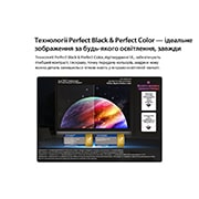 LG Телевізор LG OLED evo AI C6 | 55&nbsp;дюймів | 4K Smart TV | 2026, LG OLED evo AI C6 із технологією Brightness Booster демонструє темну сцену, де яскраво освітлений павич розкриває свої сяйливі, світні пера, забезпечуючи яскравіші світлі ділянки з покращеною деталіза, OLED55C64LA, thumbnail 4
