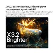 LG Телевізор LG OLED evo AI C6 | 83&nbsp;дюймів | 4K Smart TV | 2026, LG OLED evo AI C6 з технологією Brightness Booster Pro відображає темну сцену, де сяючі частинки оточують силует оленя, забезпечуючи до 3,2 разів яскравішу пікову яскравість з вищою яскравістю та чітк, OLED83C64LA, thumbnail 4
