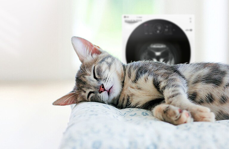 Безшумна робота. Періть навіть уночі