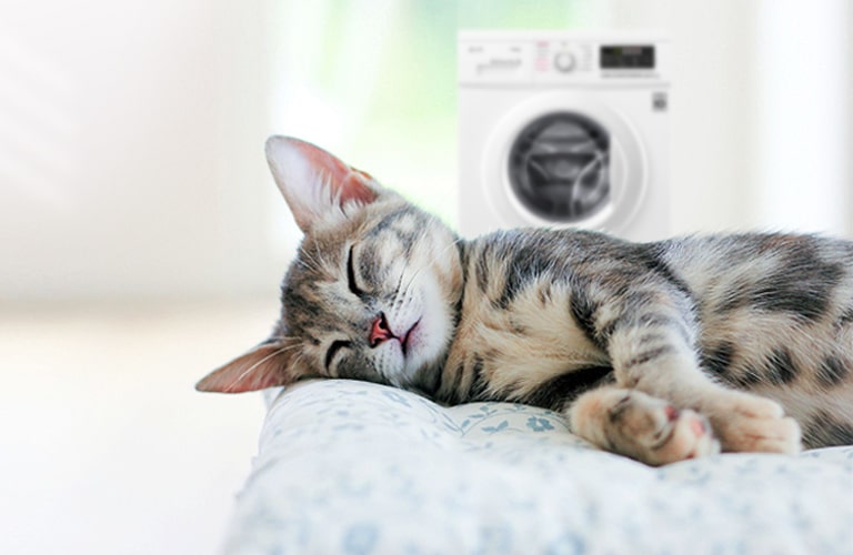 Безшумна робота. Періть навіть уночі