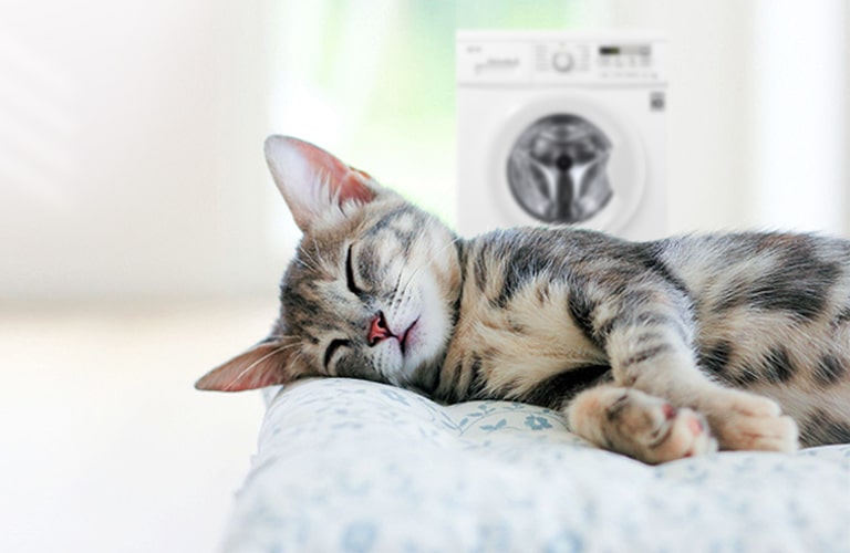 Безшумна робота. Періть навіть уночі