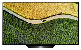 LG SIGNATURE OLED TV B9