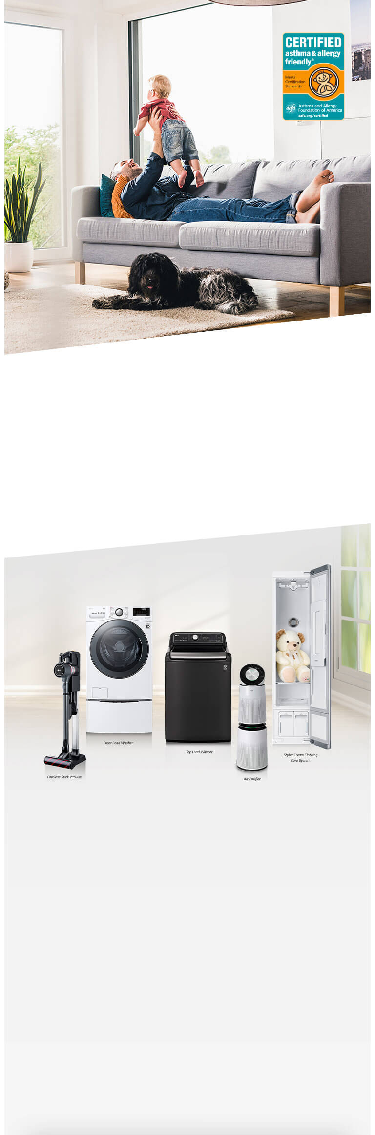 Asthma and allergy foundation cheap of america air purifier