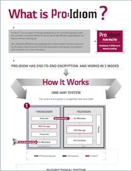 Infographic What Is Pro:Idiom?