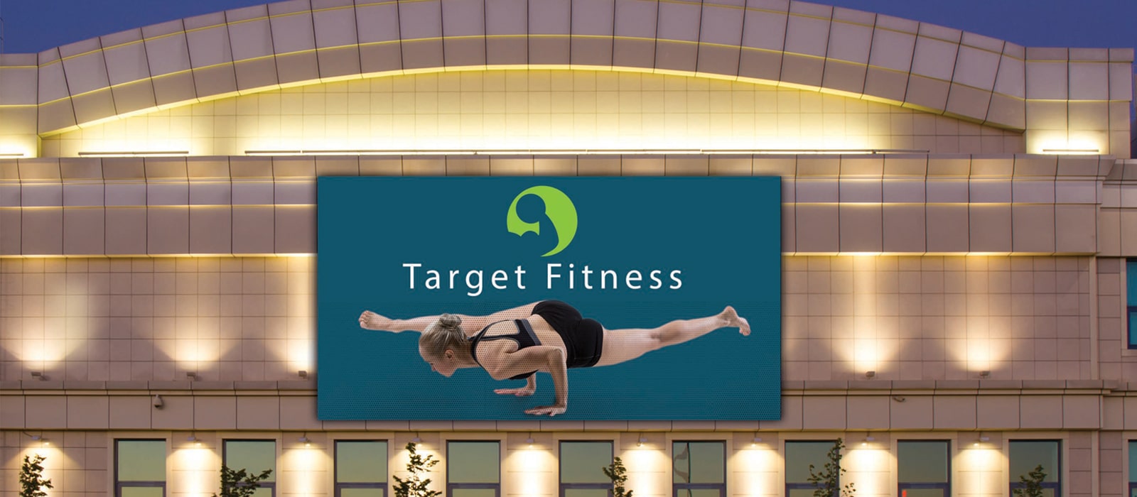 Direct View LED Ultimate Business Display