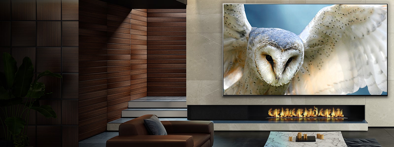 The World’s Largest OLED TV 