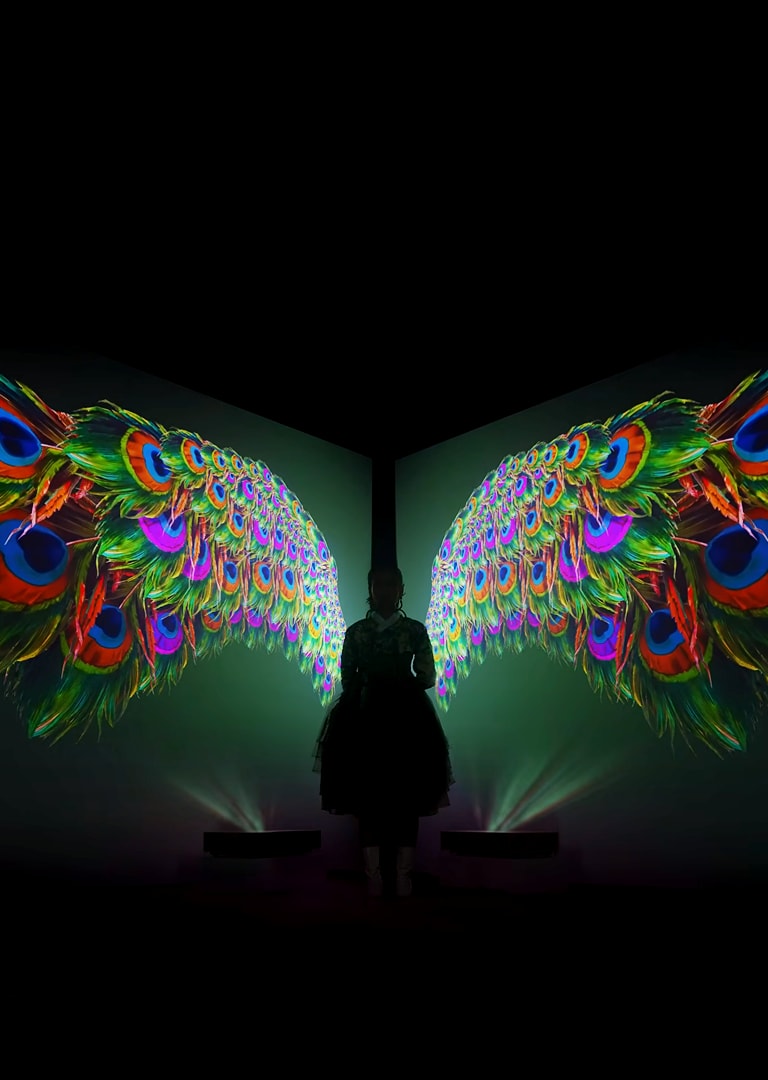 LG x Hanbok