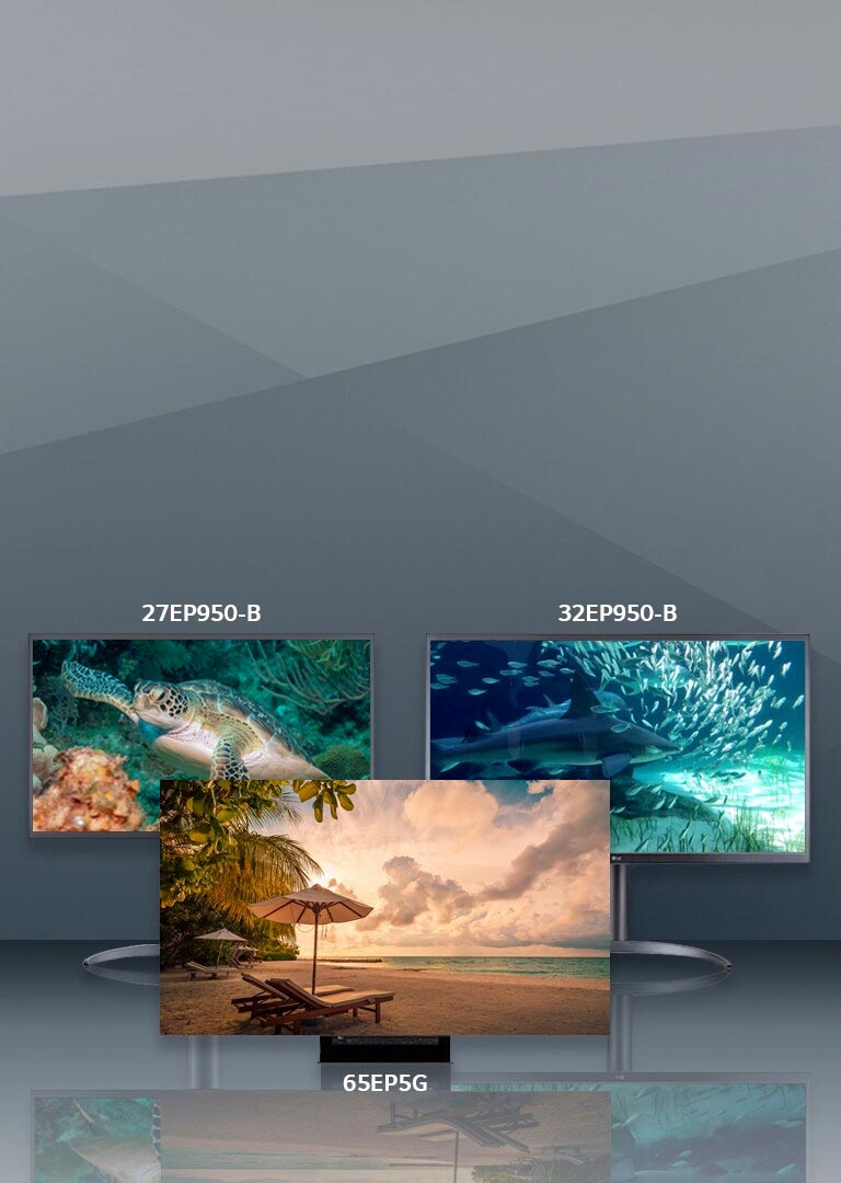 LGs new 77inch OLED wallpaper TV is now available for the price of a new  car  The Verge