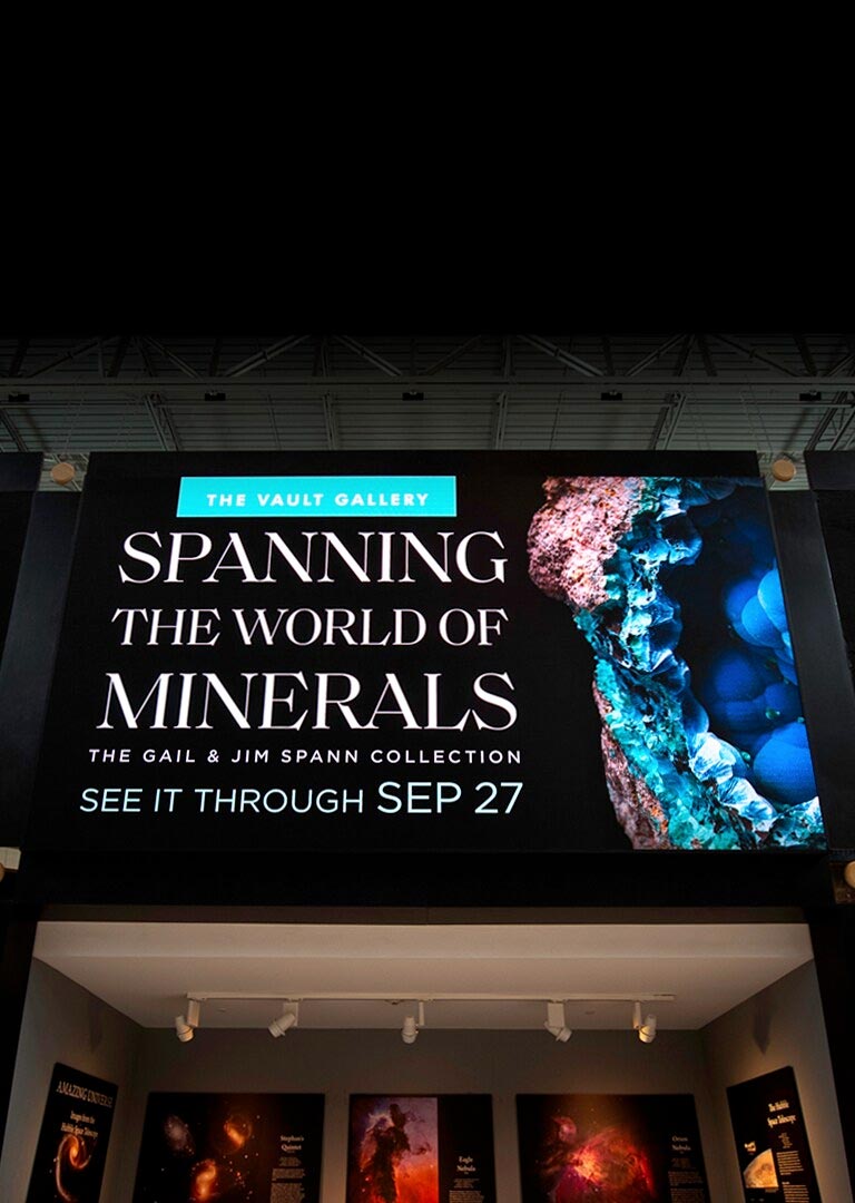 Tellus Science Museum Wows Guests with Stunning Displays