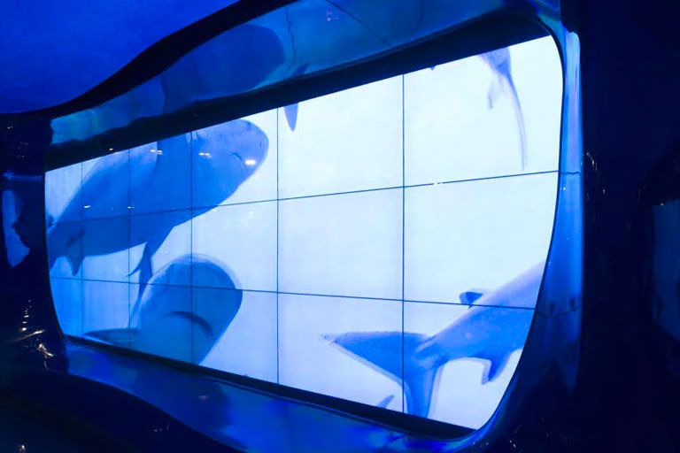 The Georgia Aquarium Video Wall Upgrade