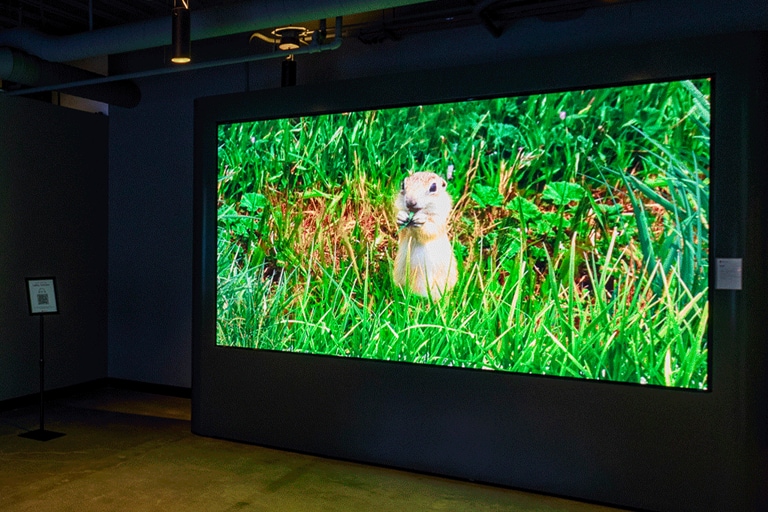 Large Format Signage