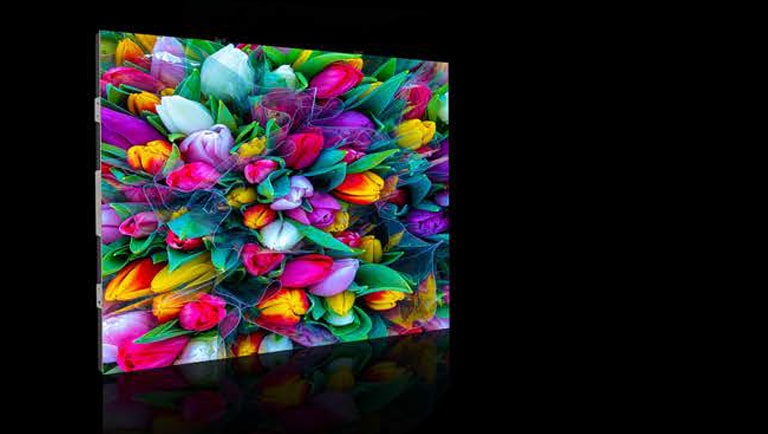 Incredible HDR10 and Viewing Angles